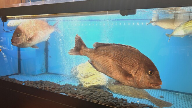 和饗 - メイン写真: