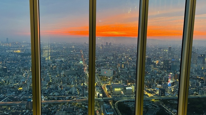 SKY GARDEN 300 - メイン写真: