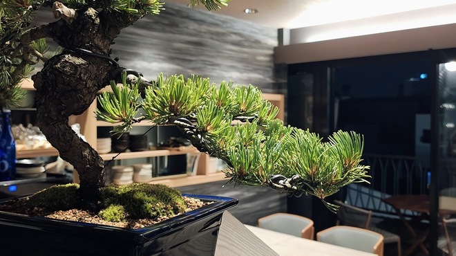 麦酒庵 - メイン写真: