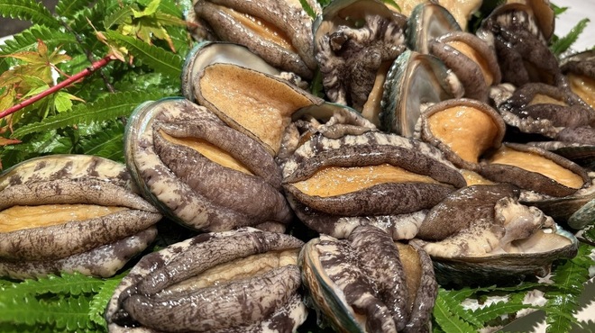 舞桜 - メイン写真: