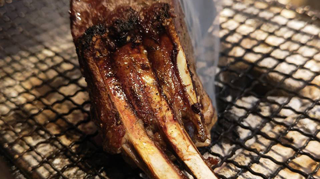 VENISON by TERRA - メイン写真: