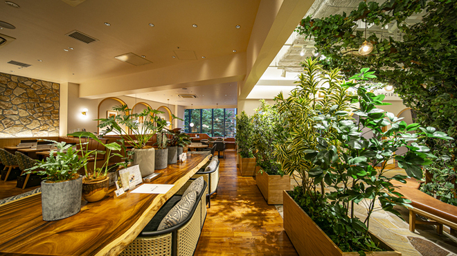 ロートレシピ - メイン写真: