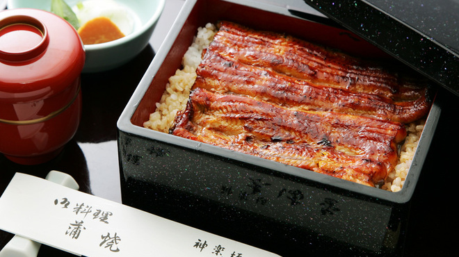 かぐら坂 志満金 - 料理写真:志満金の鰻