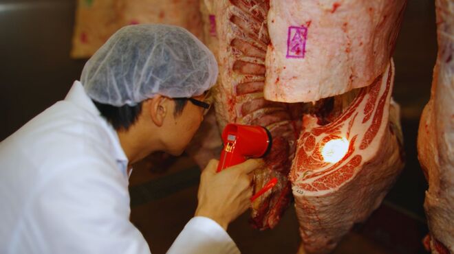 町屋やきにく密陽家 - メイン写真: