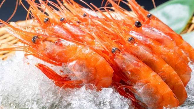 東京寿司 ITAMAE SUSHI - メイン写真: