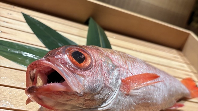 のどぐろ専門 銀座中俣 極 - メイン写真: