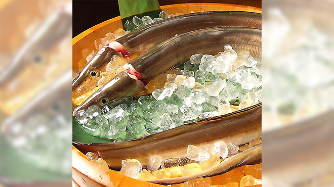 浅草 魚料理 遠州屋 - メイン写真: