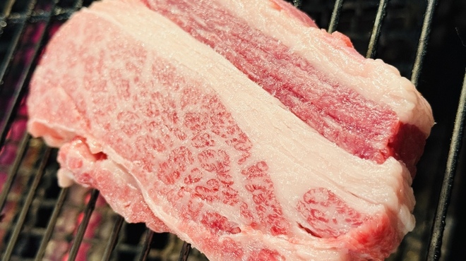日本酒 炉端焼き 郷味 - メイン写真: