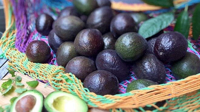 Mexican Dining AVOCADO - メイン写真: