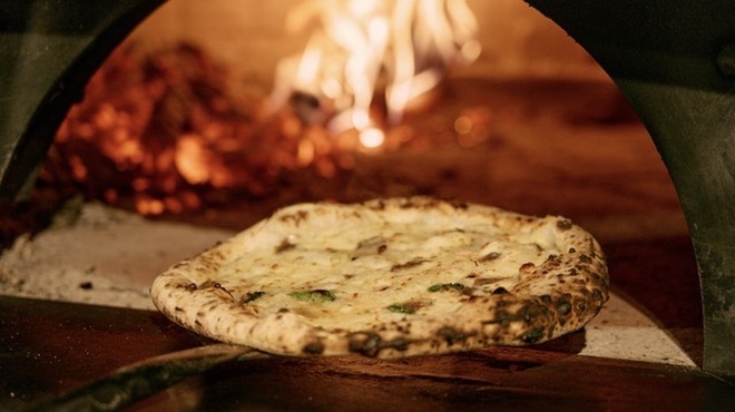 Trattoria&Pizzeria LOGIC - メイン写真: