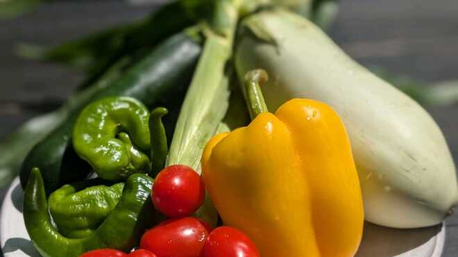 KNOCK CUCINA BUONA ITALIANA - メイン写真: