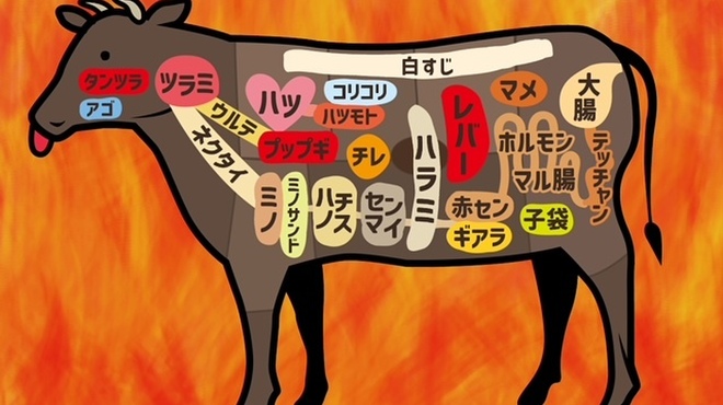 鶴橋ホルモン本舗 - メイン写真: