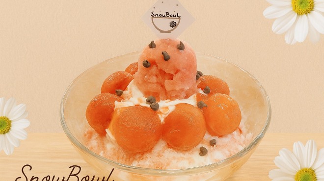 浅草フルーツカフェ SNOW BOWL - メイン写真: