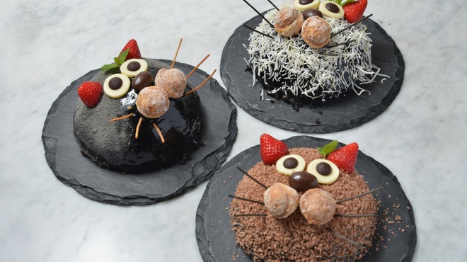 北新地 黒猫 - メイン写真: