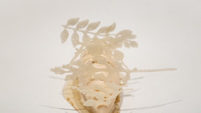 Crony - 料理写真:石川 加賀 丸八製茶場さんの焙茶 noma 本みりん
