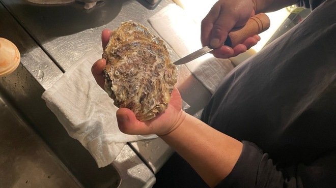 牡蠣×海老 かいり 恵比寿 - メイン写真: