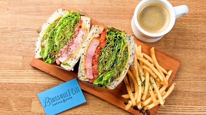 ブロッサムヒル - メイン写真: