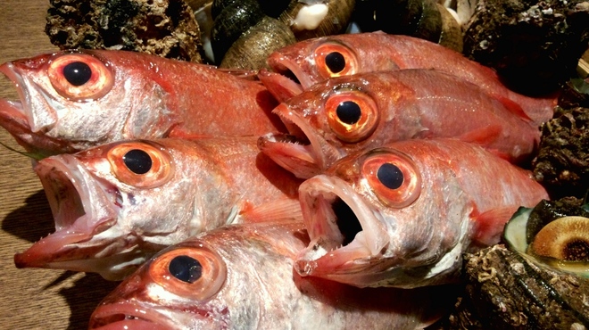 個室居酒屋　呑蔵 - メイン写真: