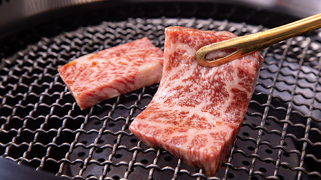 おまかせ焼肉 真徳 - メイン写真: