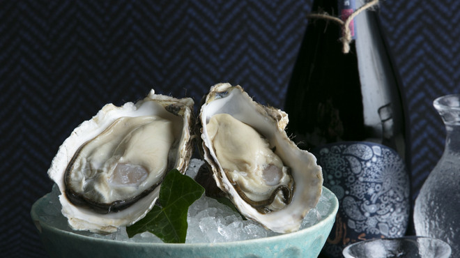 マグロ 日本酒 光蔵 - メイン写真: