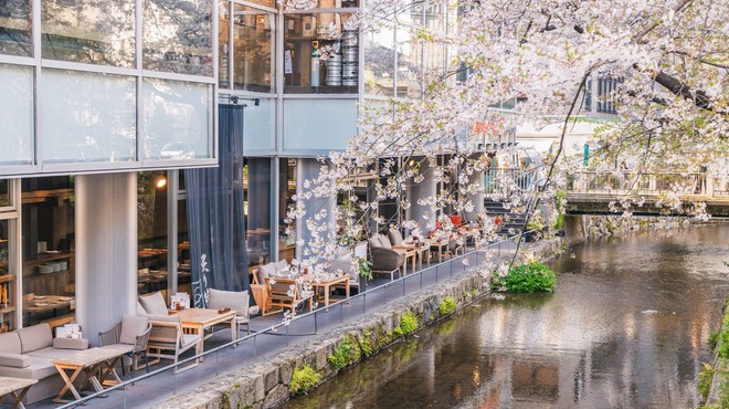 PIZZA SALVATORE CUOMO & GRILL - メイン写真: