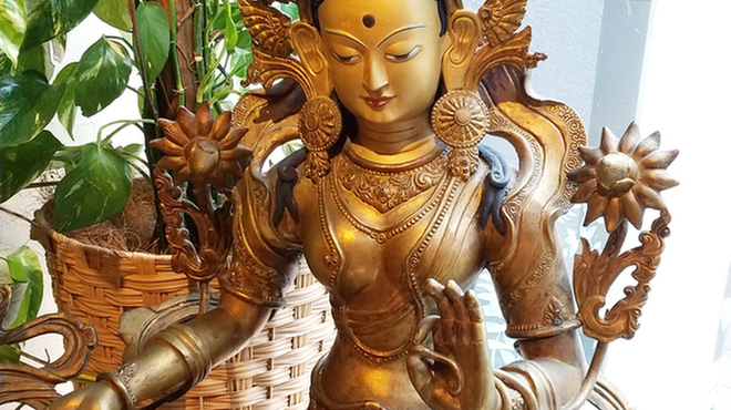 ネパール料理&BAR MANDALA - メイン写真: