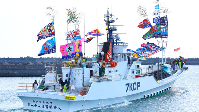 藁焼き鰹たたき明神丸 - メイン写真: