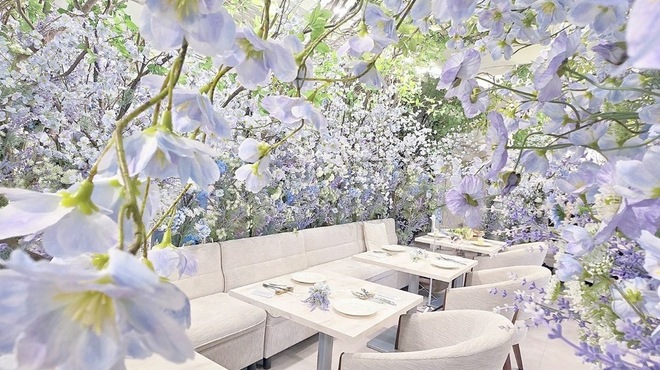 HAUTE COUTURE BRUNCH - メイン写真: