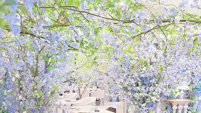 HAUTE COUTURE BRUNCH - メイン写真: