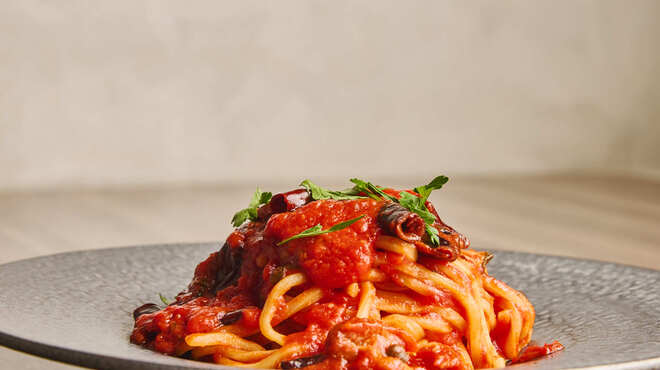 ダルマット - メイン写真: