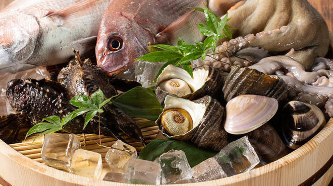 居酒屋 ごん太 - メイン写真: