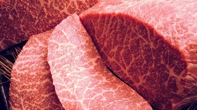 居酒屋 ごん太 - メイン写真: