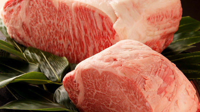 パンドラ - メイン写真: