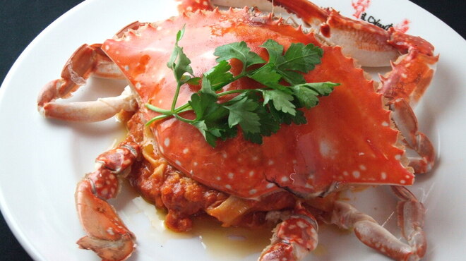 iL CHIANTI SUD - メイン写真: