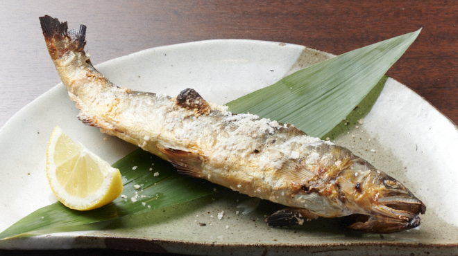 梅ト蜂 - メイン写真: