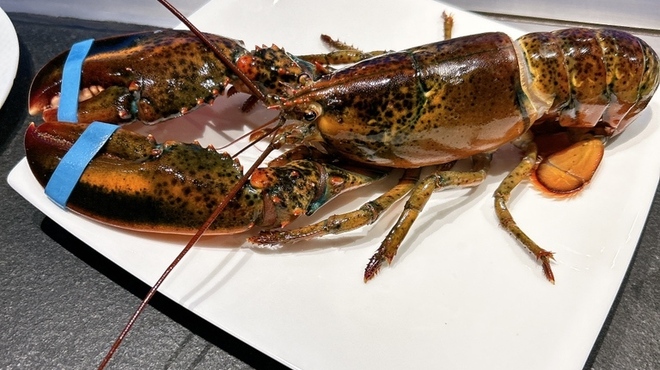 鉄板焼ダイニング 竹彩 - 料理写真: