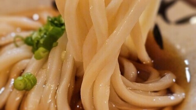 考えるな、うどん食え。 - メイン写真: