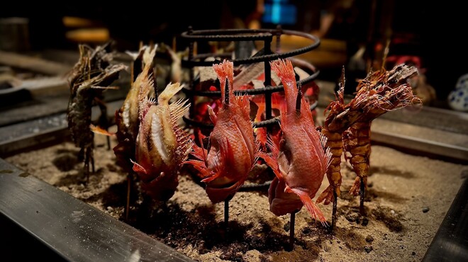 みみずく 名駅店 - メイン写真: