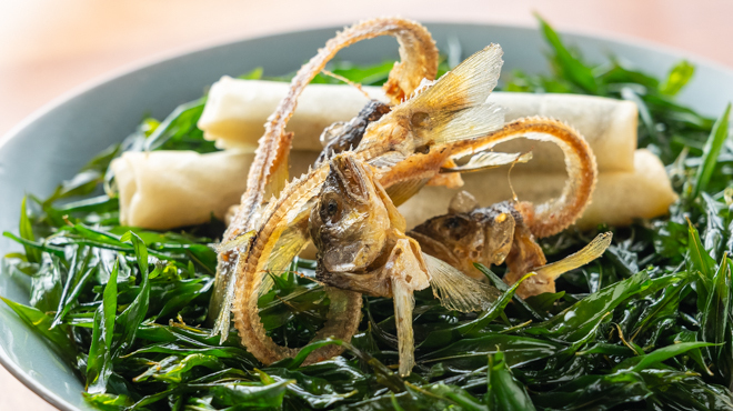 鎌倉 以ず美 - メイン写真: