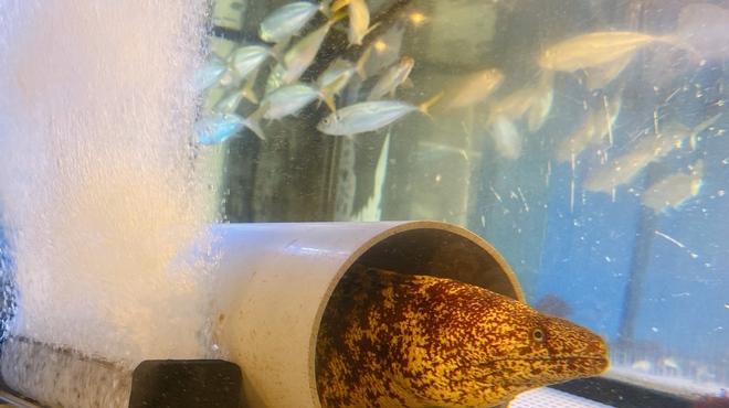 和匠 - メイン写真: