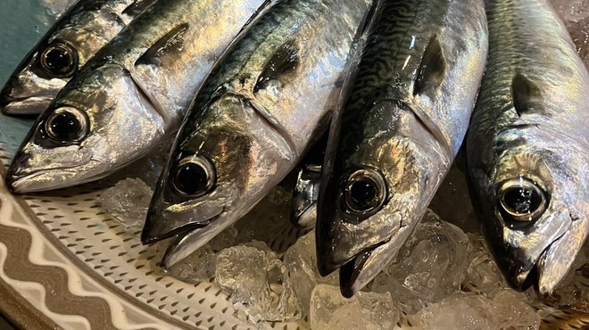 旬の鮮魚と魂の煮込み ぶん福茶がま - メイン写真: