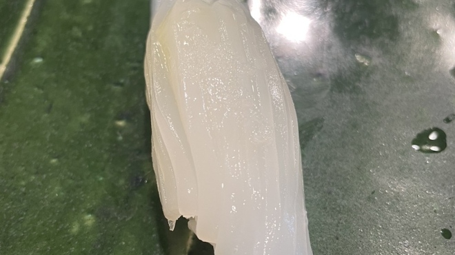 地魚料理・鮨 佐々木 - 料理写真: