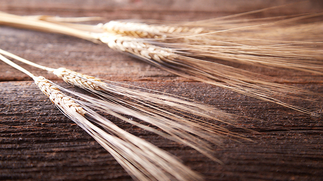 麺や庄の - メイン写真: