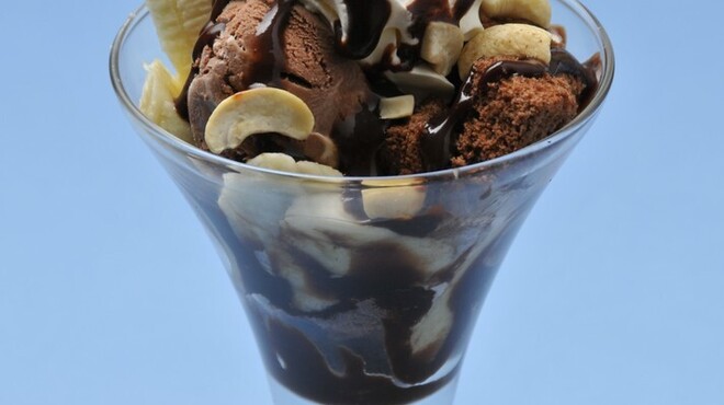 アーユルヴェーダ - メイン写真: