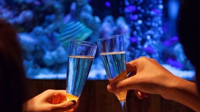 アクアリウムイタリアン心斎橋ライム - メイン写真: