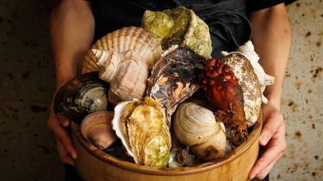 なきざかな - メイン写真: