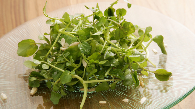 パイス バスコ - メイン写真: