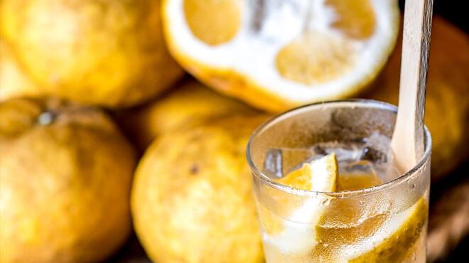 炭火やきとり 伝兵衛 - メイン写真: