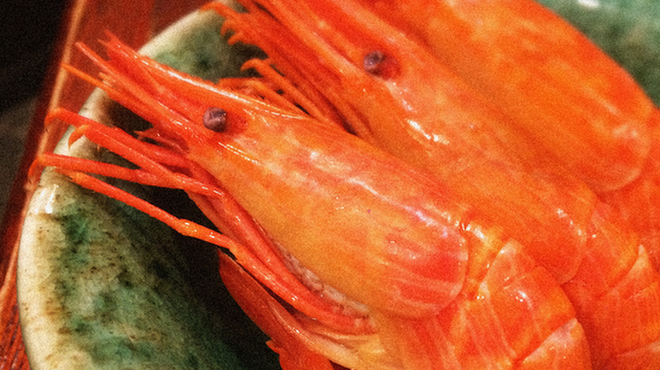 魚菜 - 料理写真:旬の食材