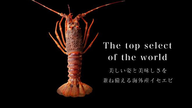 UP CAMP - メイン写真: